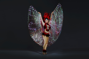Крылья Бразилия